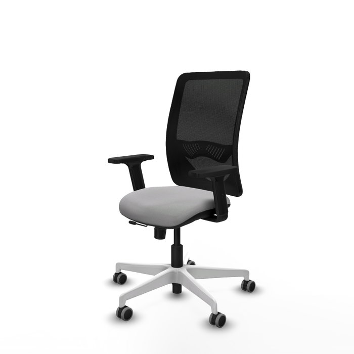 PIQUERAS Y CRESPO Silla de oficina Zulema con mecanismo Sincro/Traslack, Gris claro y Negro PIQUERAS Y CRESPO Silla de oficina Zulema con mecanismo Sincro/Traslack, Gris claro y Negro