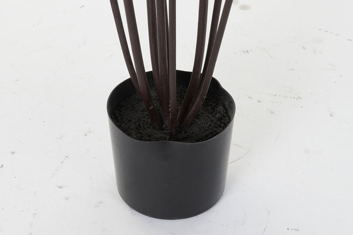 DKD Home Decor Planta Dracena Verde Marron 75 x 75 x 180 cm (2 Unidades)