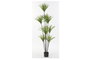 DKD Home Decor Planta Dracena Verde y Marrón 75x75x180 cm