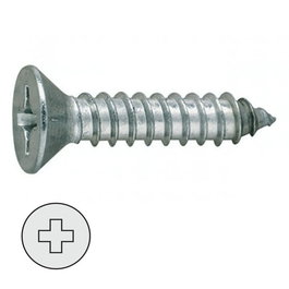 DUVER Tornillo Rosca Chapa Cabeza Plana Din 79 Larg.R/Chapa 9.5Mm Ø Rosca Chapa 2.9Mm (Set de 100)