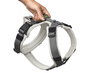 Hunter Maldon Up S-M Arnés para Perro Gris Claro Cuello: 46-82 cm Ajustable Acolchado Reflectante