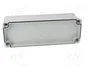 FIBOX PICCOLO Carcasa Universal Gris