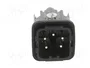 ILME Conector HDC CK Macho de 4 Pines