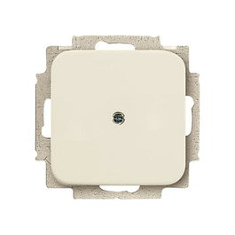 BUSCH-JAEGER BJ 2538-212 Blindzentralscheibe Datos-Kommunikations-Technik Marfil