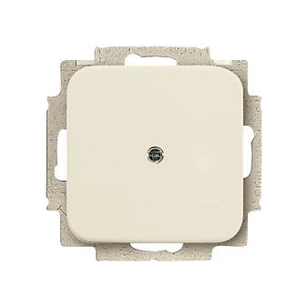 BUSCH-JAEGER BJ 2538-212 Blindzentralscheibe Datos-Kommunikations-Technik Marfil BUSCH-JAEGER BJ 2538-212 Blindzentralscheibe Datos-Kommunikations-Technik Marfil