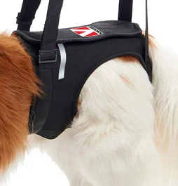 Kruuse Arnés Elevador para Patas Traseras Talla XL - Ayuda para perros con artritis o displasia - Hecho de neopreno y nailon - 1 unidad