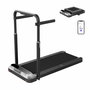 Cinta de Correr Xiaomi WALKINGPAD R2H