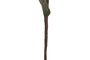 DKD Home Decor Flor EVA Rosa y Verde 20x5x97 cm