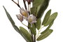 DKD Home Decor Flor EVA Rosa y Verde 20x5x97 cm