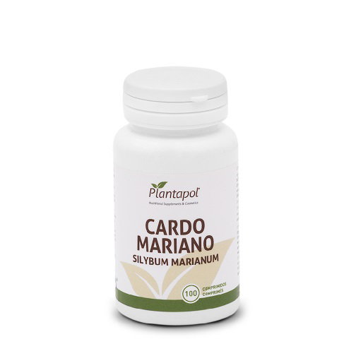 Cardo Mariano Cardo Mariano