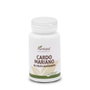 PLANTAPOL Cardo Mariano 440mg