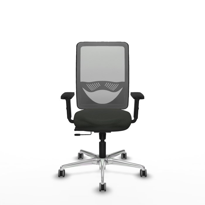 PIQUERAS Y CRESPO Silla de oficina Zulema con mecanismo Sincro/Traslack, Negro y Gris PIQUERAS Y CRESPO Silla de oficina Zulema con mecanismo Sincro/Traslack, Negro y Gris