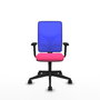 PIQUERAS Y CRESPO Silla de oficina Motilla con mecanismo Sincro, Rosa y Azul
