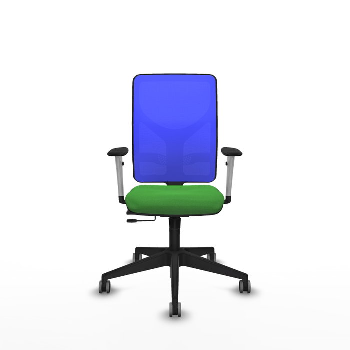 PIQUERAS Y CRESPO Silla de oficina Motilla con mecanismo Sincro/Traslack, Verde y Azul PIQUERAS Y CRESPO Silla de oficina Motilla con mecanismo Sincro/Traslack, Verde y Azul