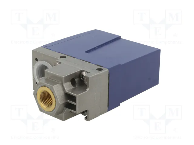 TELEMECANIQUE SENSORS Módulo de automatización presostato SPDT G1/4 de 4 pines TELEMECANIQUE SENSORS Módulo de automatización presostato SPDT G1/4 de 4 pines