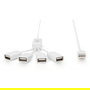 Digitus Hub USB 4 Puertos 2.0 -> 4xA2.0 Cable Integrado Blanco