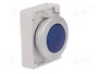 EATON ELECTRIC Lámpara de control RMQ-Titan M22-LED azul