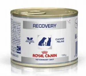 Royal Canin Recovery 12x195g latas para perros y gatos adultos Royal Canin Recovery 12x195g latas para perros y gatos adultos