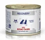 Royal Canin Recovery 12x195g latas para perros y gatos adultos