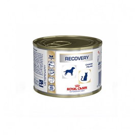 Royal Canin Recovery Alimento Húmedo para Gatos y Perros, 12 Latas de 195g cada una