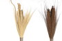 DKD Home Decor Decoración Bambú 7x7x220 Rama Surtida (Pack de 6)