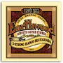Ernieball 9-20/9 Juego Banjo Earthwood Bluegrass 5 Strings