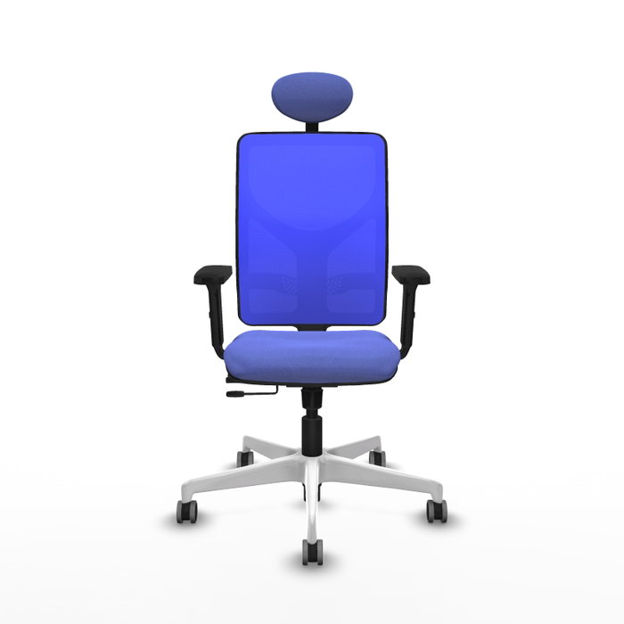 PIQUERAS Y CRESPO Silla de oficina Motilla con mecanismo Sincro/Traslack, Azul PIQUERAS Y CRESPO Silla de oficina Motilla con mecanismo Sincro/Traslack, Azul