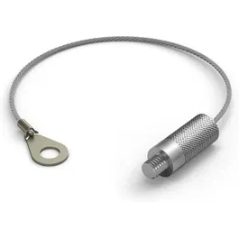 Philips Hue Cable anticaída PHI8720169160996 para Hue Secure