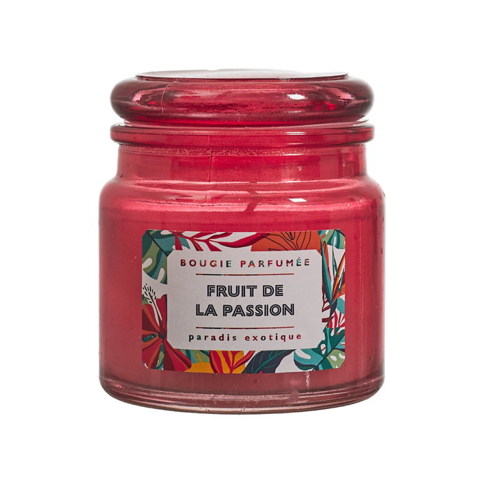 Home Deco Factory Vela Perfumada Paradis Exotiqu en Tarro de Vidrio - Colores Surtidos (Vainilla, Fruta Pasión, Coco, Mora) - 70g, Duración 10h - 6.2x6.8 cm Home Deco Factory Vela Perfumada Paradis Exotiqu en Tarro de Vidrio - Colores Surtidos (Vainilla, Fruta Pasión, Coco, Mora) - 70g, Duración 10h - 6.2x6.8 cm