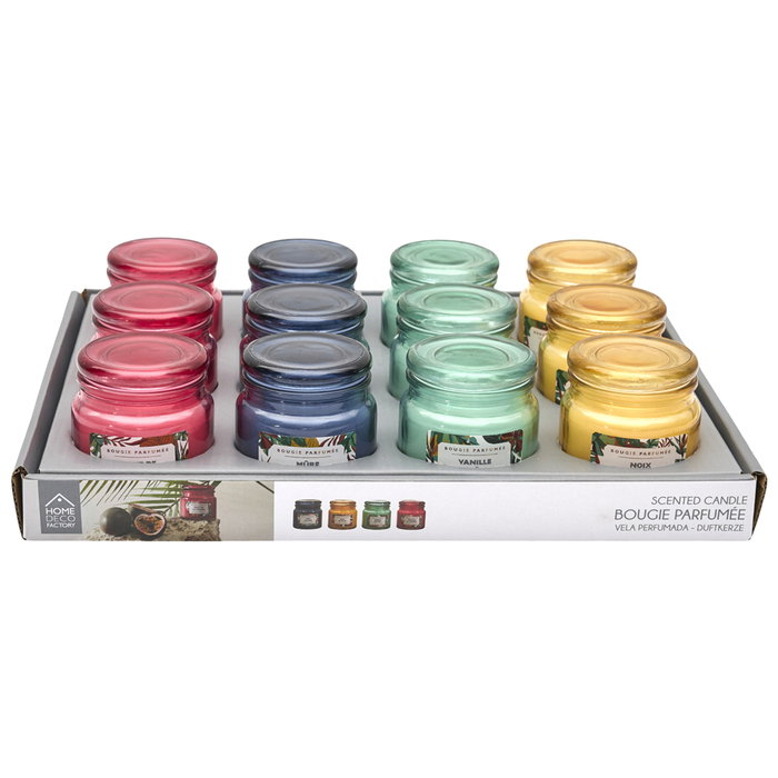 Home Deco Factory Vela Perfumada Paradis Exotiqu en Tarro de Vidrio - Colores Surtidos (Vainilla, Fruta Pasión, Coco, Mora) - 70g, Duración 10h - 6.2x6.8 cm Home Deco Factory Vela Perfumada Paradis Exotiqu en Tarro de Vidrio - Colores Surtidos (Vainilla, Fruta Pasión, Coco, Mora) - 70g, Duración 10h - 6.2x6.8 cm