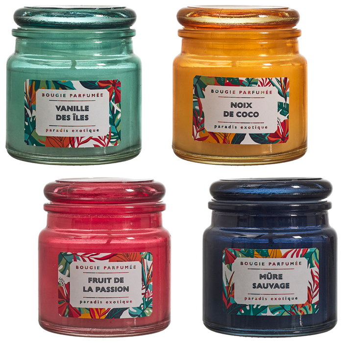 Home Deco Factory Vela Perfumada Paradis Exotiqu en Tarro de Vidrio - Colores Surtidos (Vainilla, Fruta Pasión, Coco, Mora) - 70g, Duración 10h - 6.2x6.8 cm Home Deco Factory Vela Perfumada Paradis Exotiqu en Tarro de Vidrio - Colores Surtidos (Vainilla, Fruta Pasión, Coco, Mora) - 70g, Duración 10h - 6.2x6.8 cm