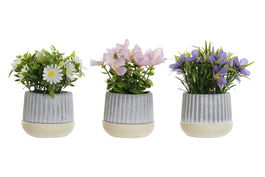 DKD Home Decor Planta Lila Rosa 13 x 15 x 13 cm (12 Unidades)