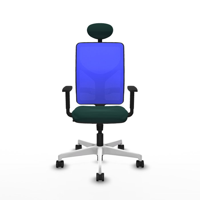 PIQUERAS Y CRESPO Silla de oficina Motilla con mecanismo Sincro, Verde botella y Azul PIQUERAS Y CRESPO Silla de oficina Motilla con mecanismo Sincro, Verde botella y Azul