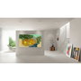 LG 65LX7B6LA Gallery TV AI 65-inch 4K ART