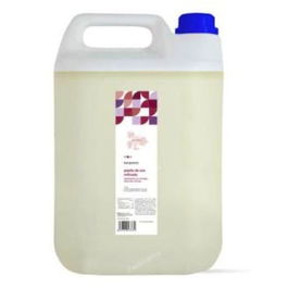 TERPENIC Aceite Vegetal Refinado de Pepita de Uva 5 Litros