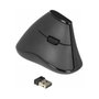 DeLOCK Ratón Ergonómico Vertical Inalámbrico 12622 Negro