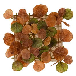 Panel Marrón Pvc Jardín 30 X 30 cm (Set de 12)