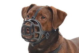 Kruuse Buster Bozal Extreme de Plástico Talla 5 para Perros Grandes - Labrador, Pastor Alemán, Dóberman, Bóxer, Pit Bull, Husky, Golden Retriever, Galgo, Weimaraner