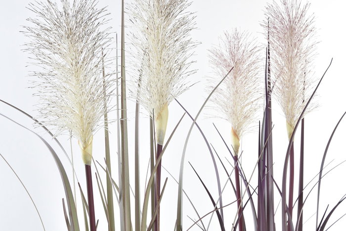 DKD Home Decor Plumeros Marron Burdeos 30 x 90 x 30 cm (4 Unidades)