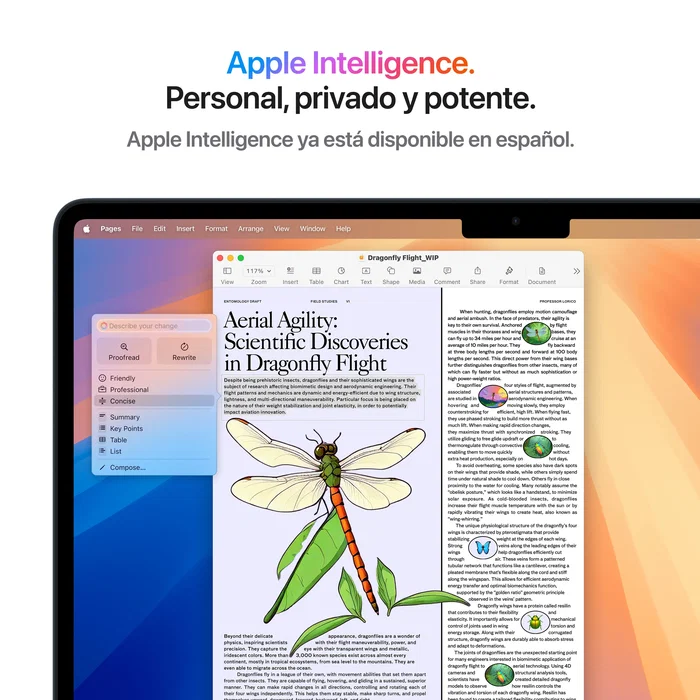 Apple macbook air 13" m4,10cpu,8gpu,16gb,256gb ssd midnight