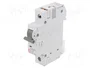 ETI POLAM Interruptor magnetotérmico ETIMAT 6 1P C50 50A 6kA