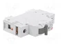 ETI POLAM Interruptor magnetotérmico ETIMAT 6 1P C50 50A 6kA