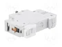 ETI POLAM Interruptor magnetotérmico ETIMAT 6 1P C50 50A 6kA