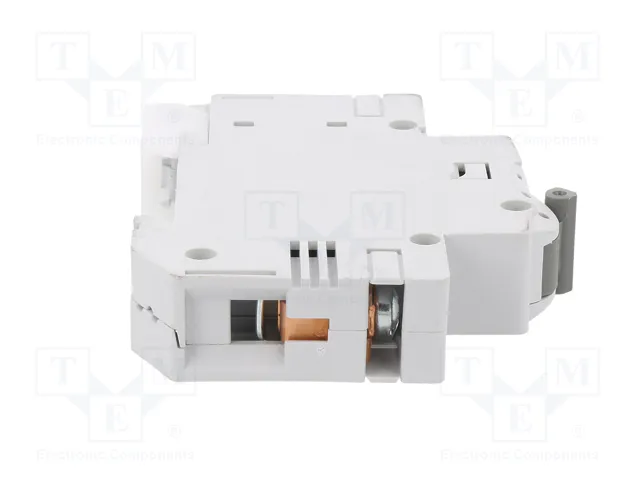 ETI POLAM Interruptor magnetotérmico ETIMAT 6 1P C50 50A 6kA