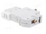 ETI POLAM Interruptor magnetotérmico ETIMAT 6 1P C50 50A 6kA