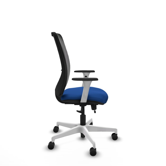 PIQUERAS Y CRESPO Silla de oficina Zulema con mecanismo Sincro/Traslack, Azul y Negro PIQUERAS Y CRESPO Silla de oficina Zulema con mecanismo Sincro/Traslack, Azul y Negro