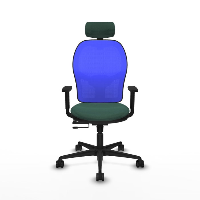 PIQUERAS Y CRESPO Silla de oficina Jorquera con mecanismo Sincro/Traslack Verde botella y Azul PIQUERAS Y CRESPO Silla de oficina Jorquera con mecanismo Sincro/Traslack Verde botella y Azul