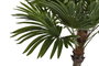 DKD Home Decor Palmera Verde y Beige de Poliéster y PP