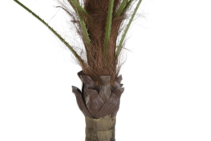 DKD Home Decor Palmera Verde y Beige de Poliéster y PP