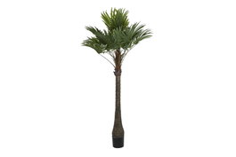DKD Home Decor Palmera Verde y Beige de Poliéster y PP